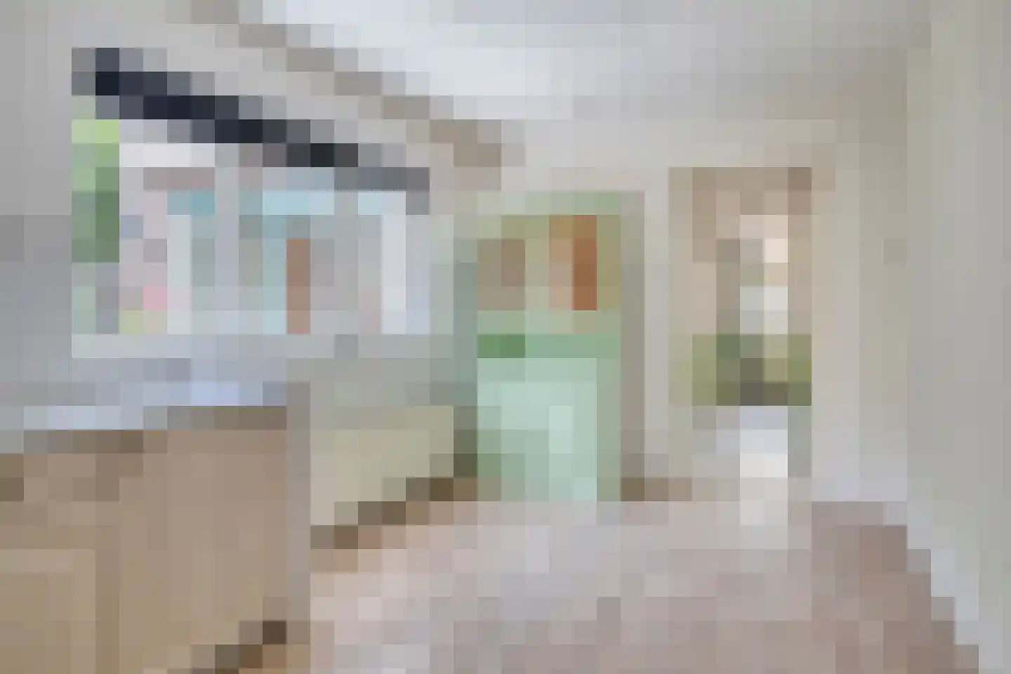 Dorpsstraat 1 Wemeldinge thumbnail 10