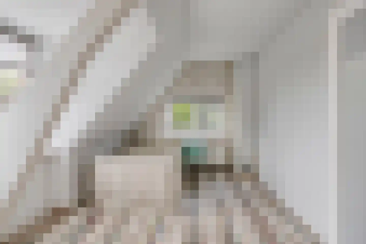 Dorpsstraat 1 Wemeldinge thumbnail 15