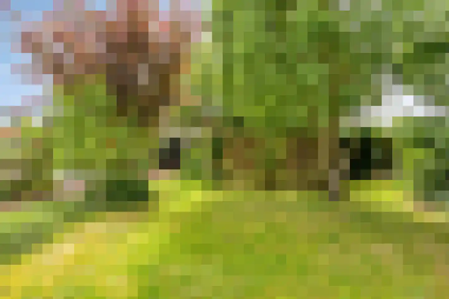 Dorpsstraat 1 Wemeldinge thumbnail 20