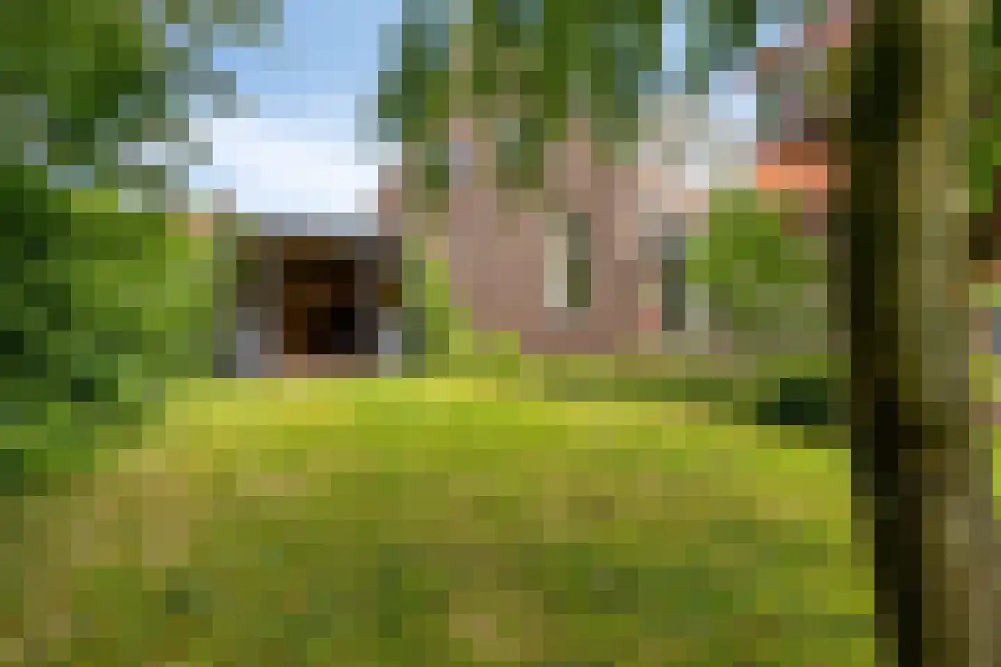Dorpsstraat 1 Wemeldinge thumbnail 21