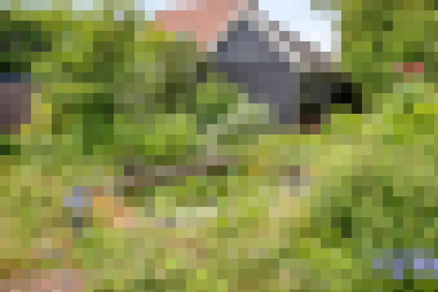Dorpsstraat 1 Wemeldinge thumbnail 25