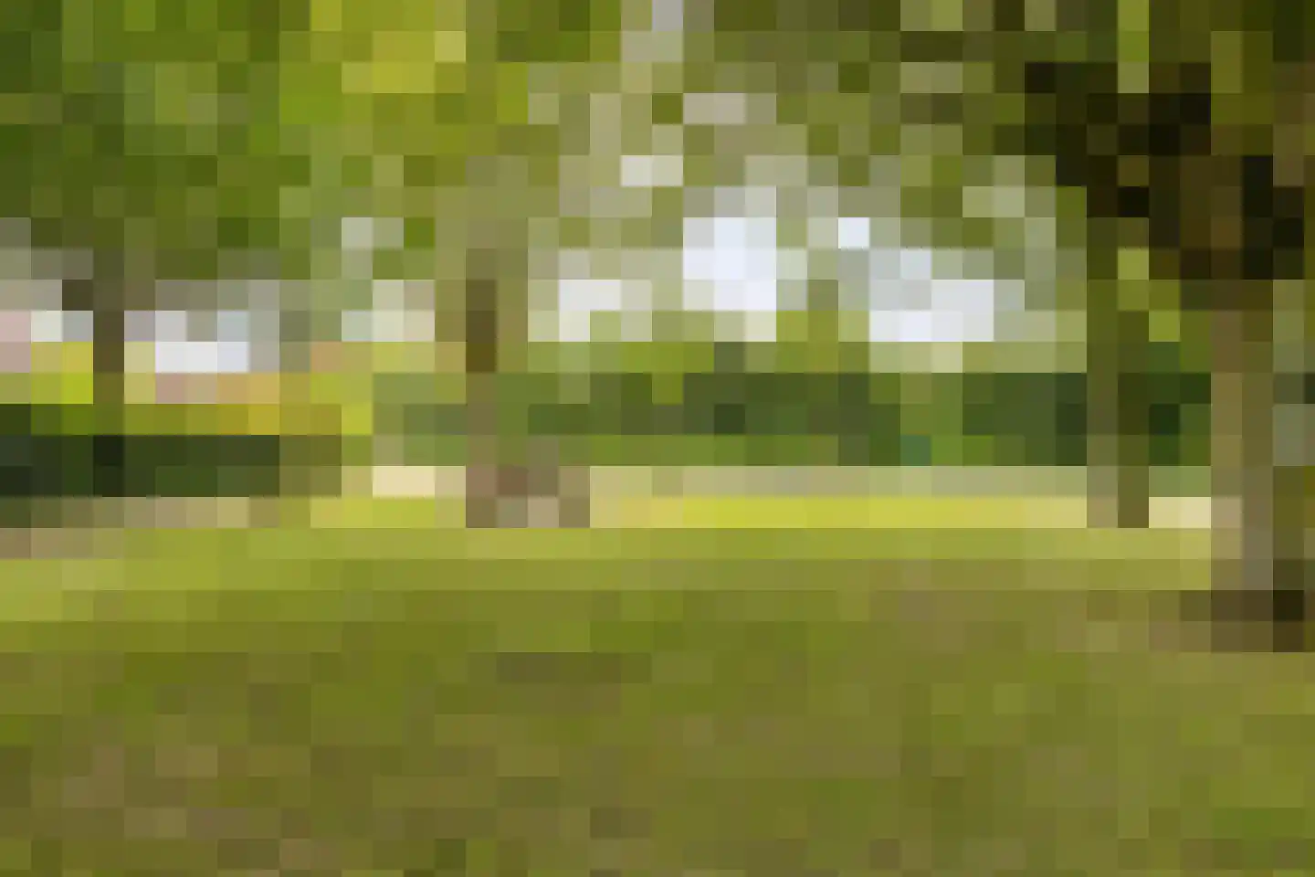 Dorpsstraat 1 Wemeldinge thumbnail 28