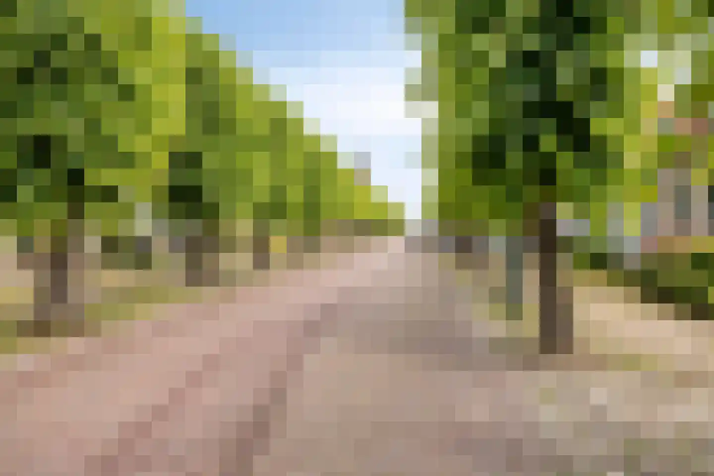 Dorpsstraat 1 Wemeldinge thumbnail 29