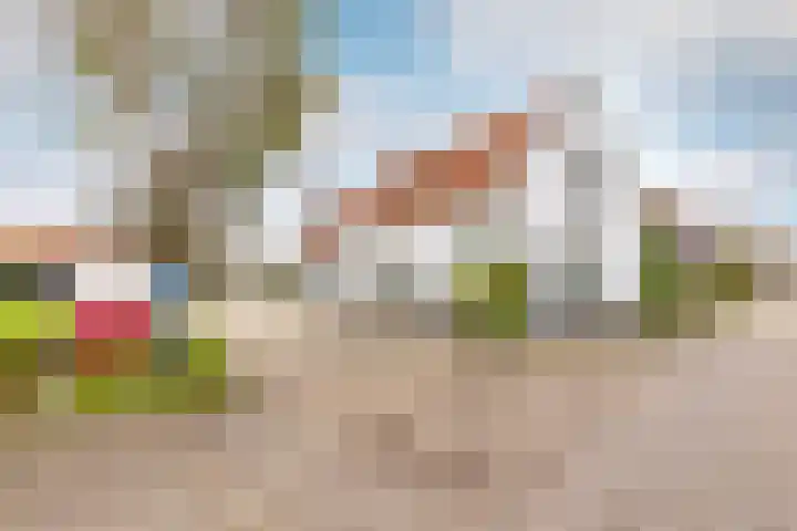 Dorpsstraat 10 a Ellemeet thumbnail 12