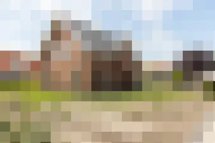 Dorpsstraat 10 a Ellemeet thumbnail 5