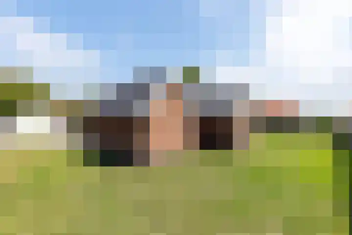 Dorpsstraat 10 a Ellemeet thumbnail 8