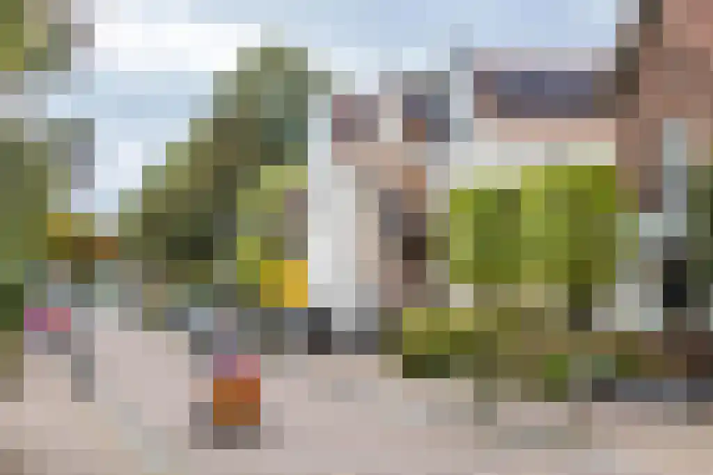 Dorpsstraat 10 Bleiswijk thumbnail 4
