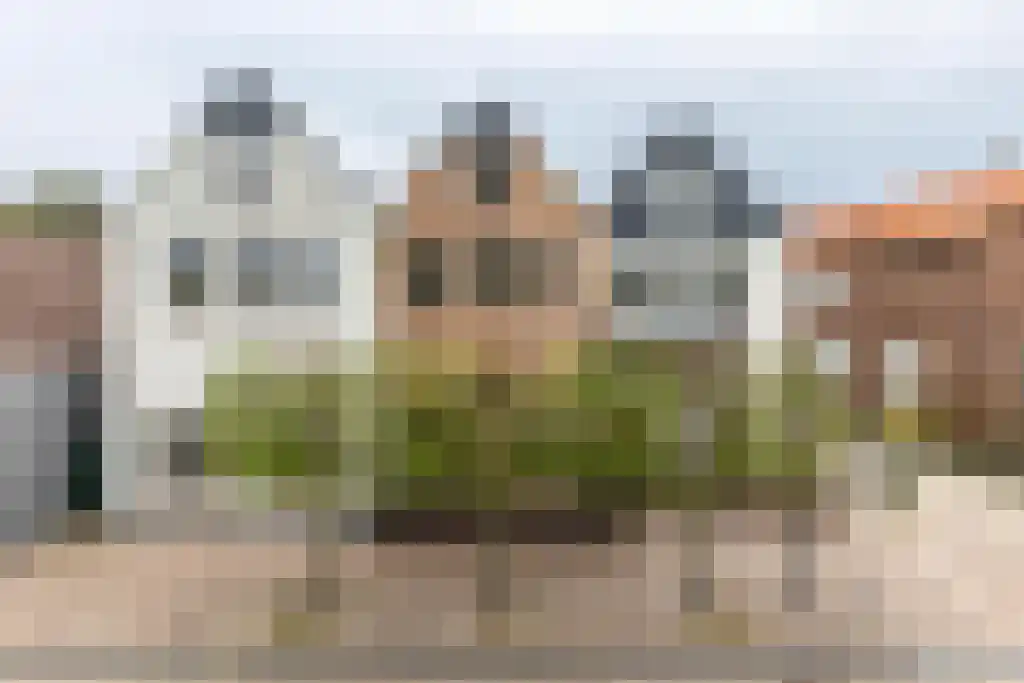 Dorpsstraat 10 Bleiswijk thumbnail 6