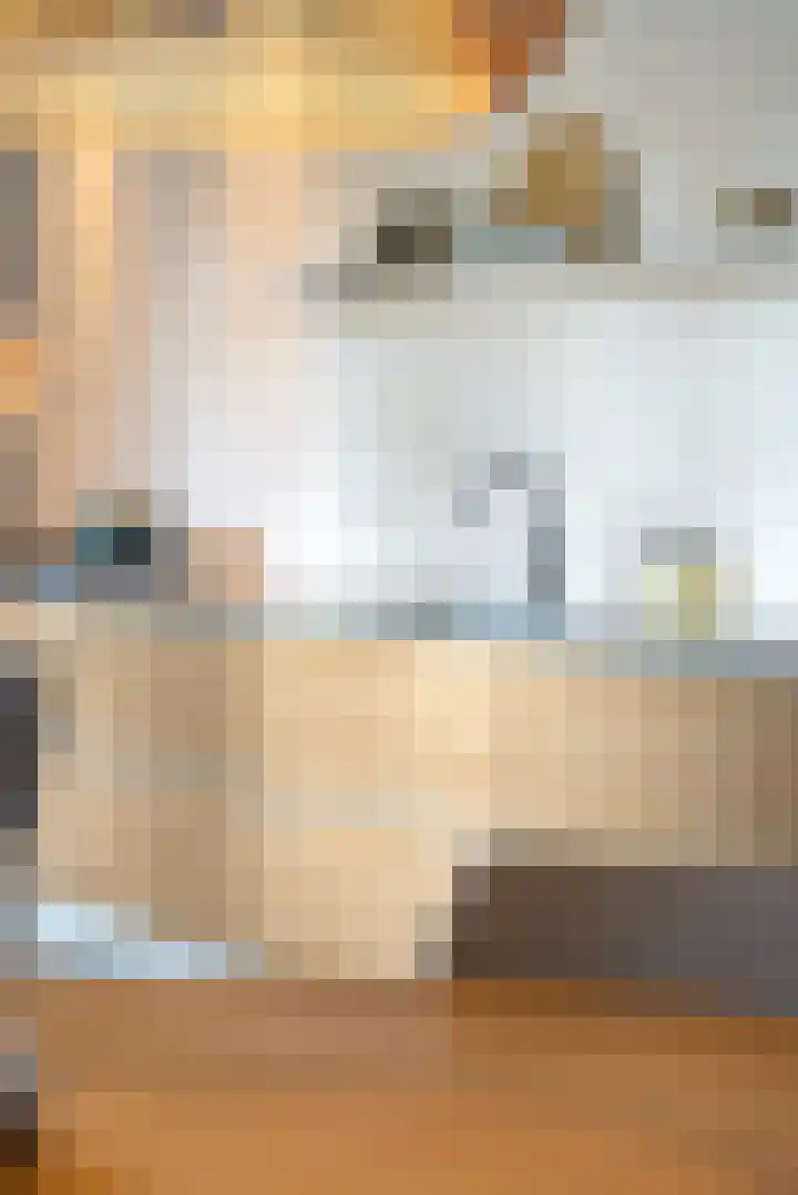 Dorpsstraat 10 Bunschoten-Spakenburg thumbnail 32