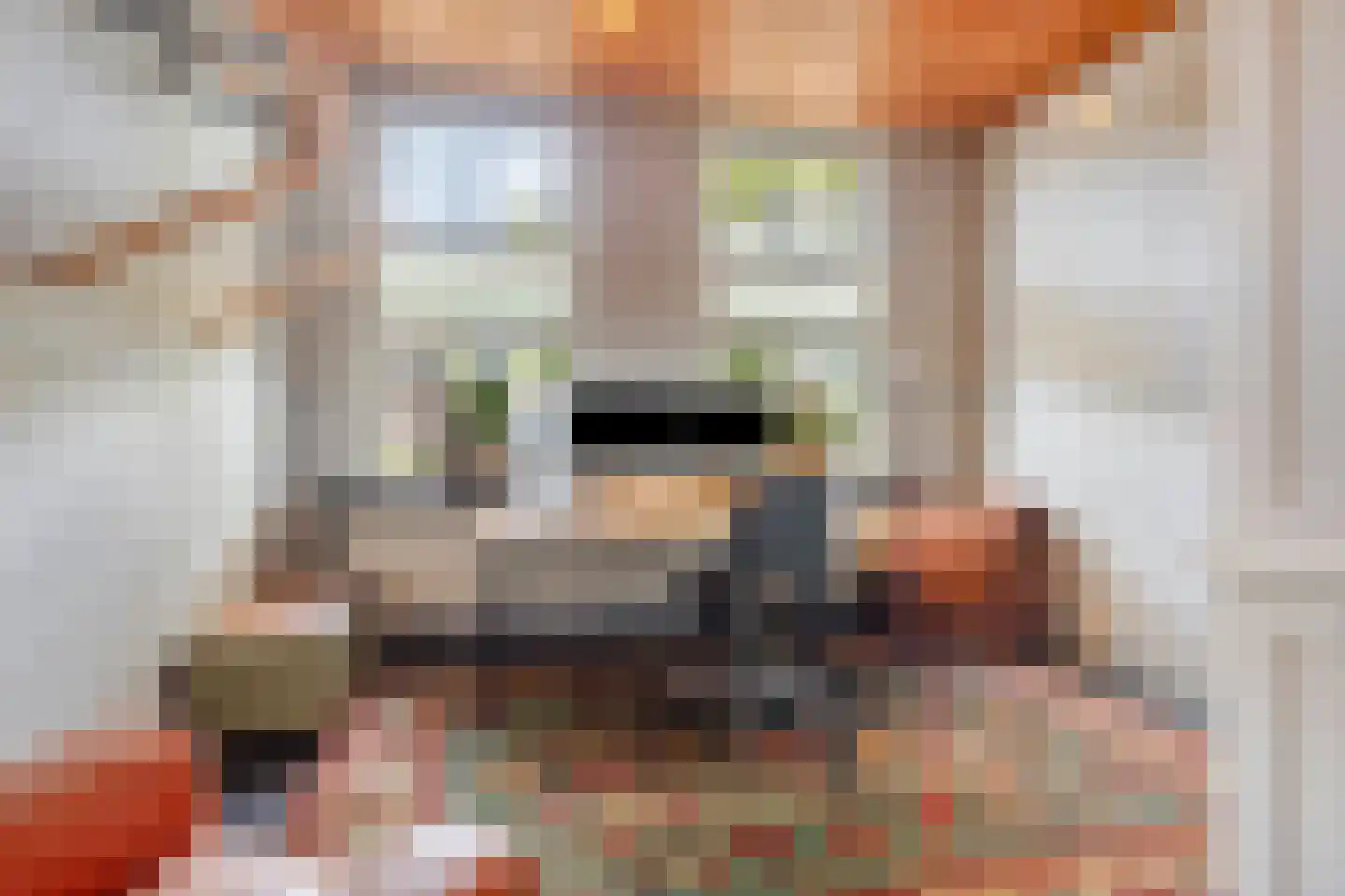 Dorpsstraat 10 Liempde thumbnail 31