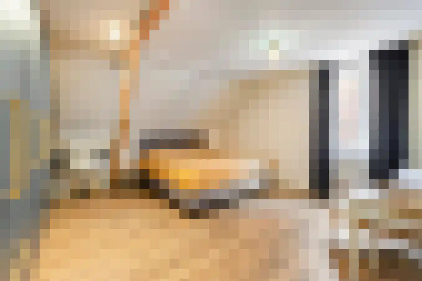 Dorpsstraat 10 Liempde thumbnail 34