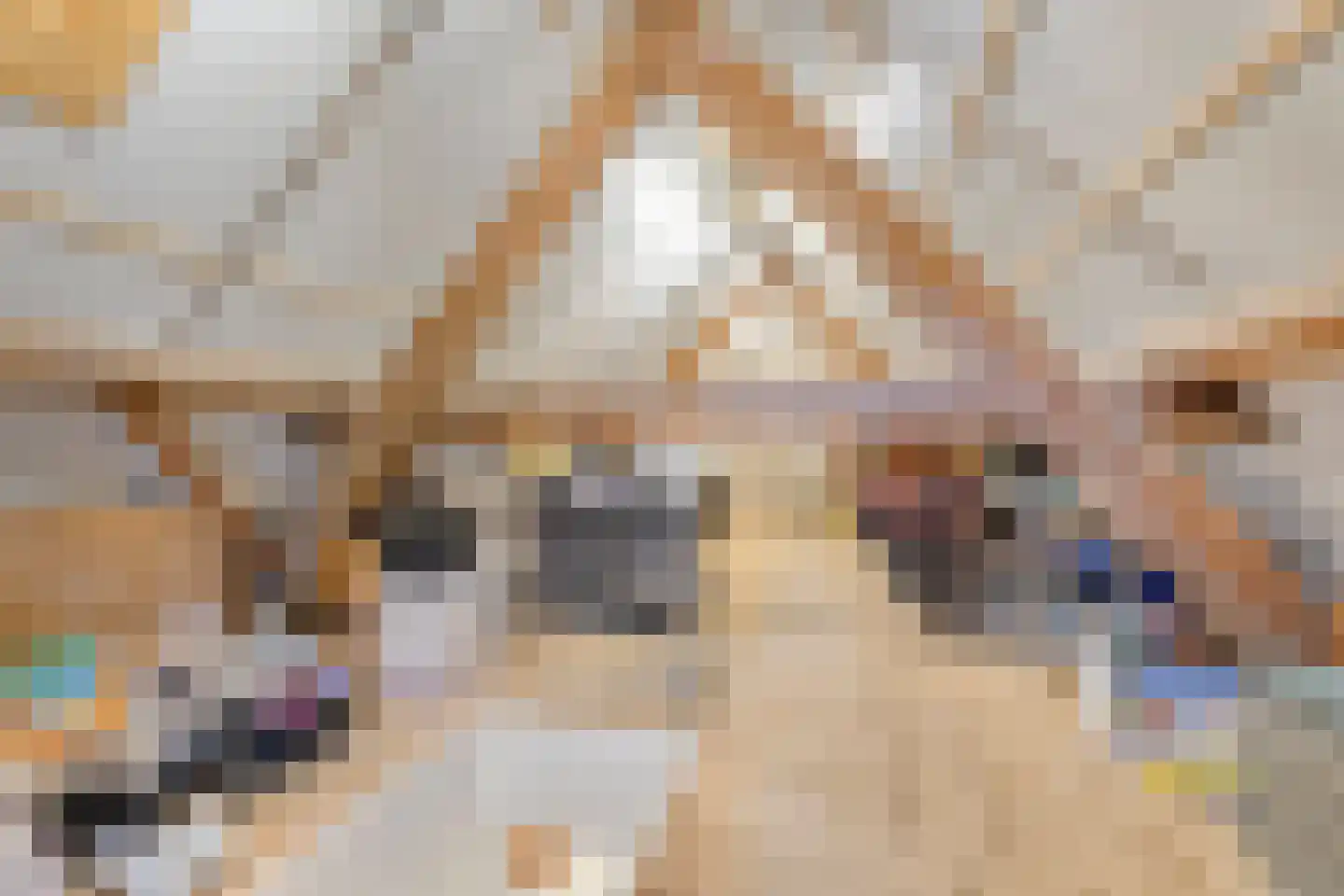 Dorpsstraat 10 Liempde thumbnail 52