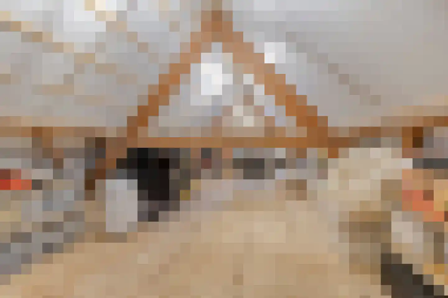 Dorpsstraat 10 Liempde thumbnail 53