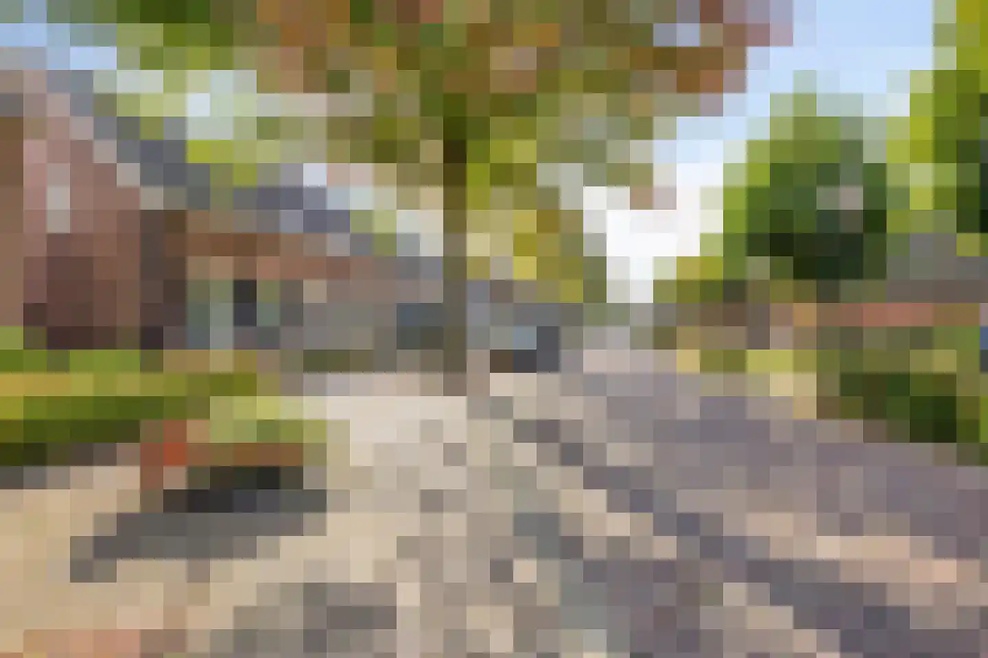 Dorpsstraat 10 Liempde thumbnail 6