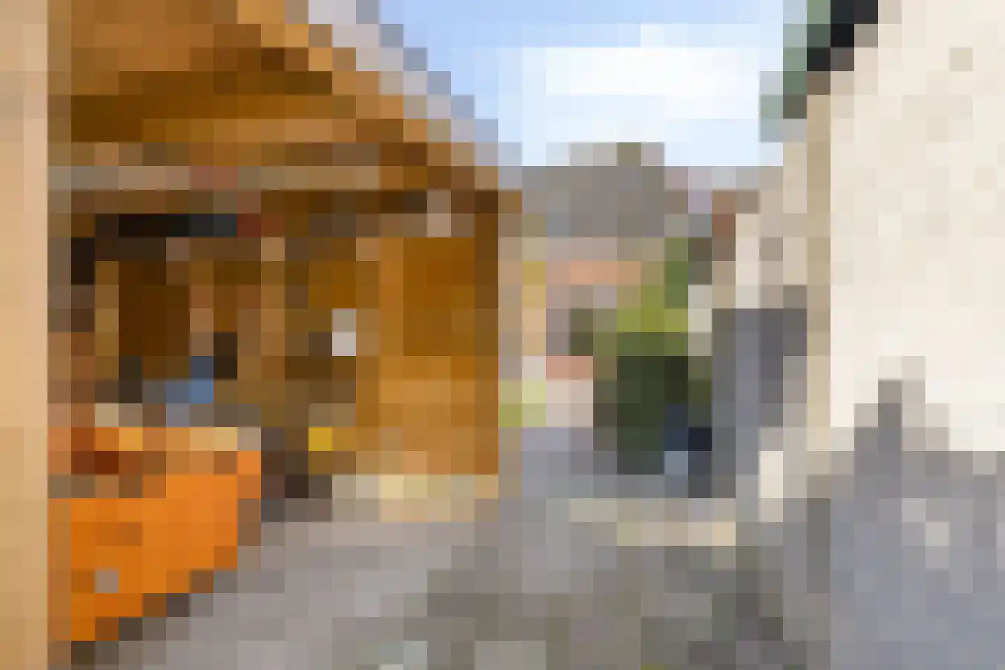 Dorpsstraat 10 Liempde thumbnail 60
