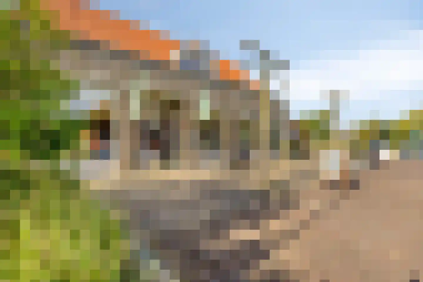 Dorpsstraat 10 Liempde thumbnail 63