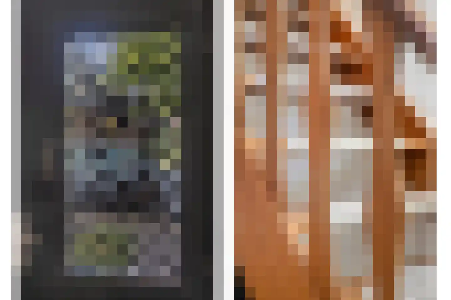 Dorpsstraat 10 Liempde thumbnail 9