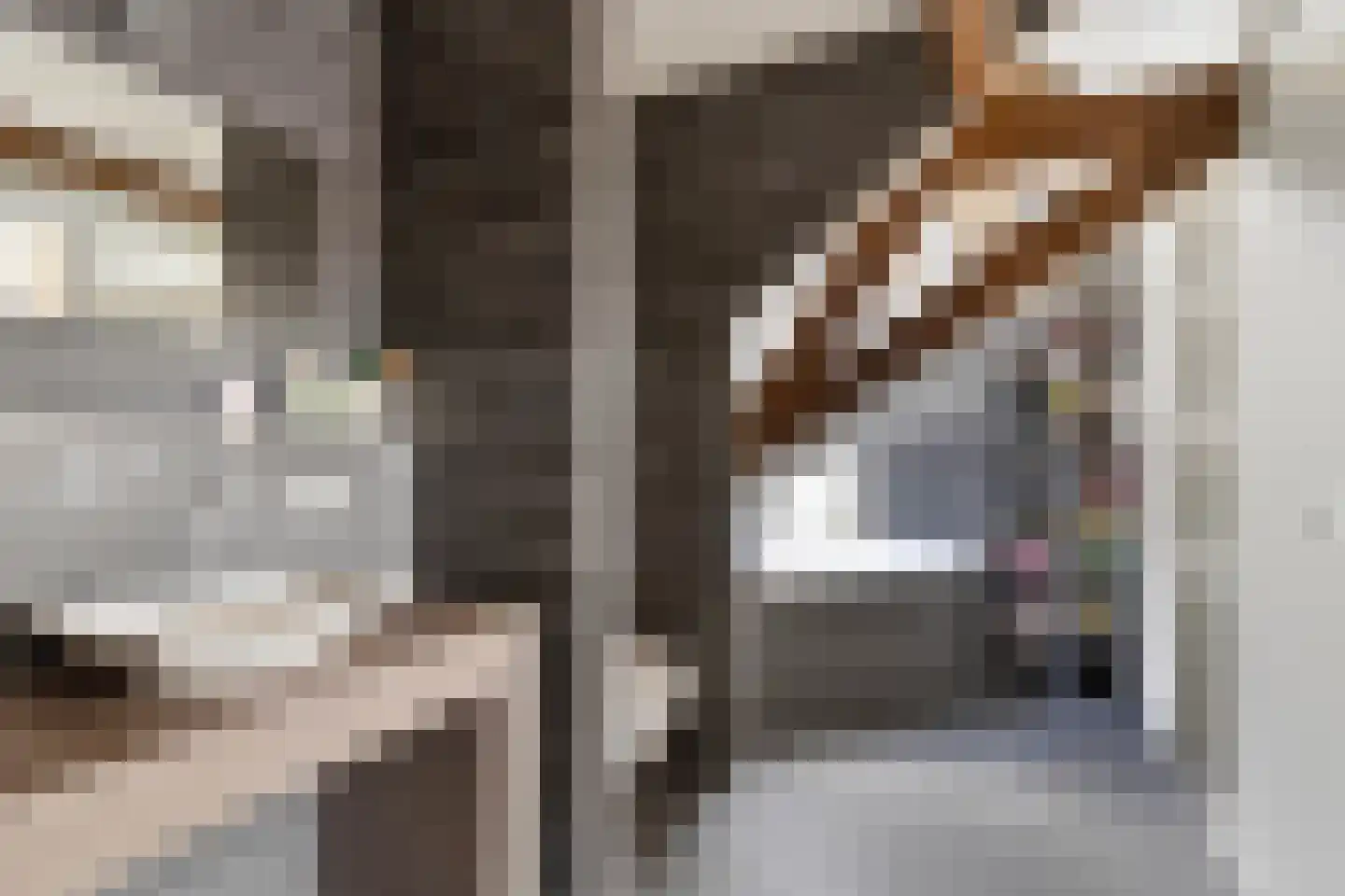 Dorpsstraat 10 Steenderen thumbnail 19
