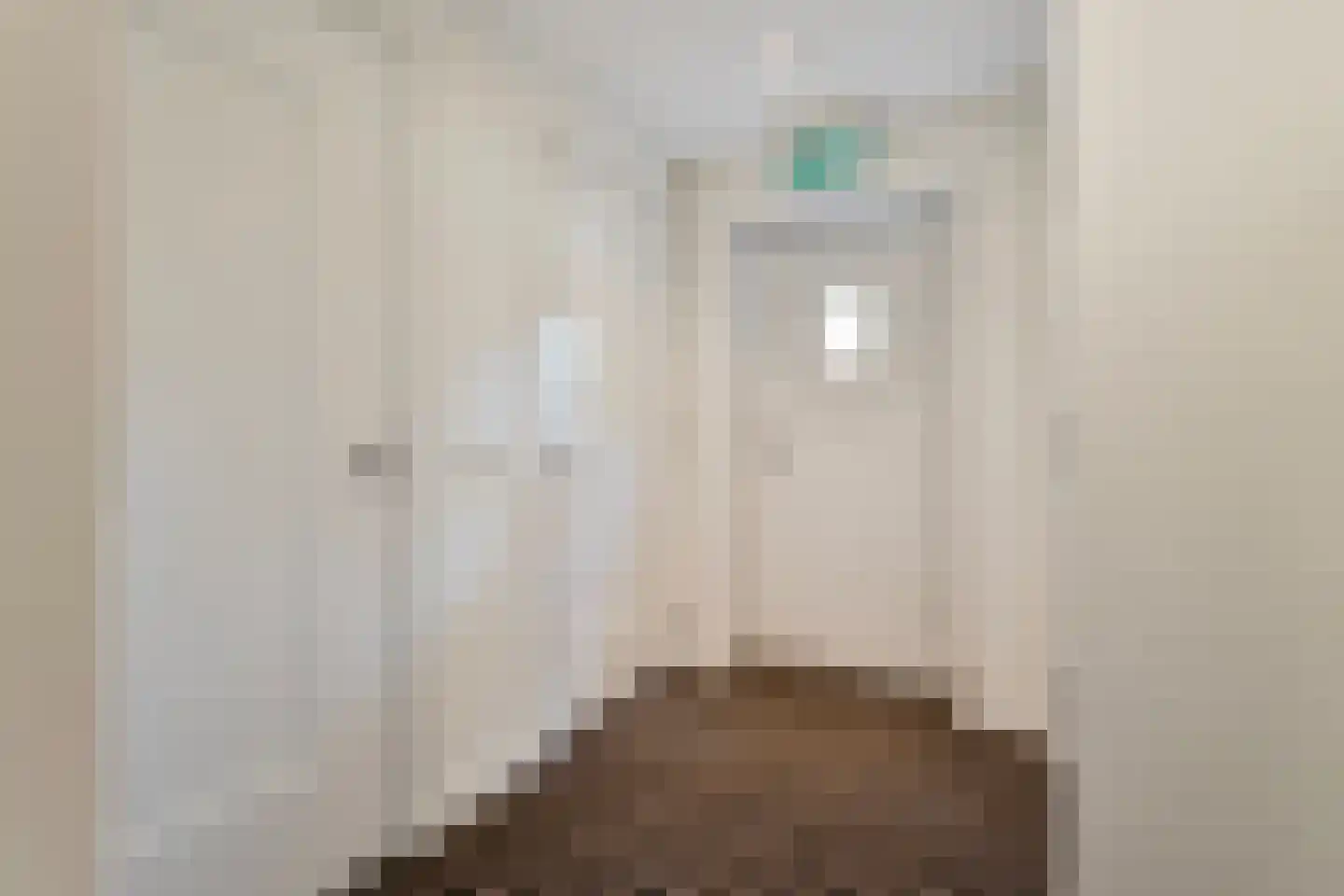 Dorpsstraat 10 Steenderen thumbnail 38