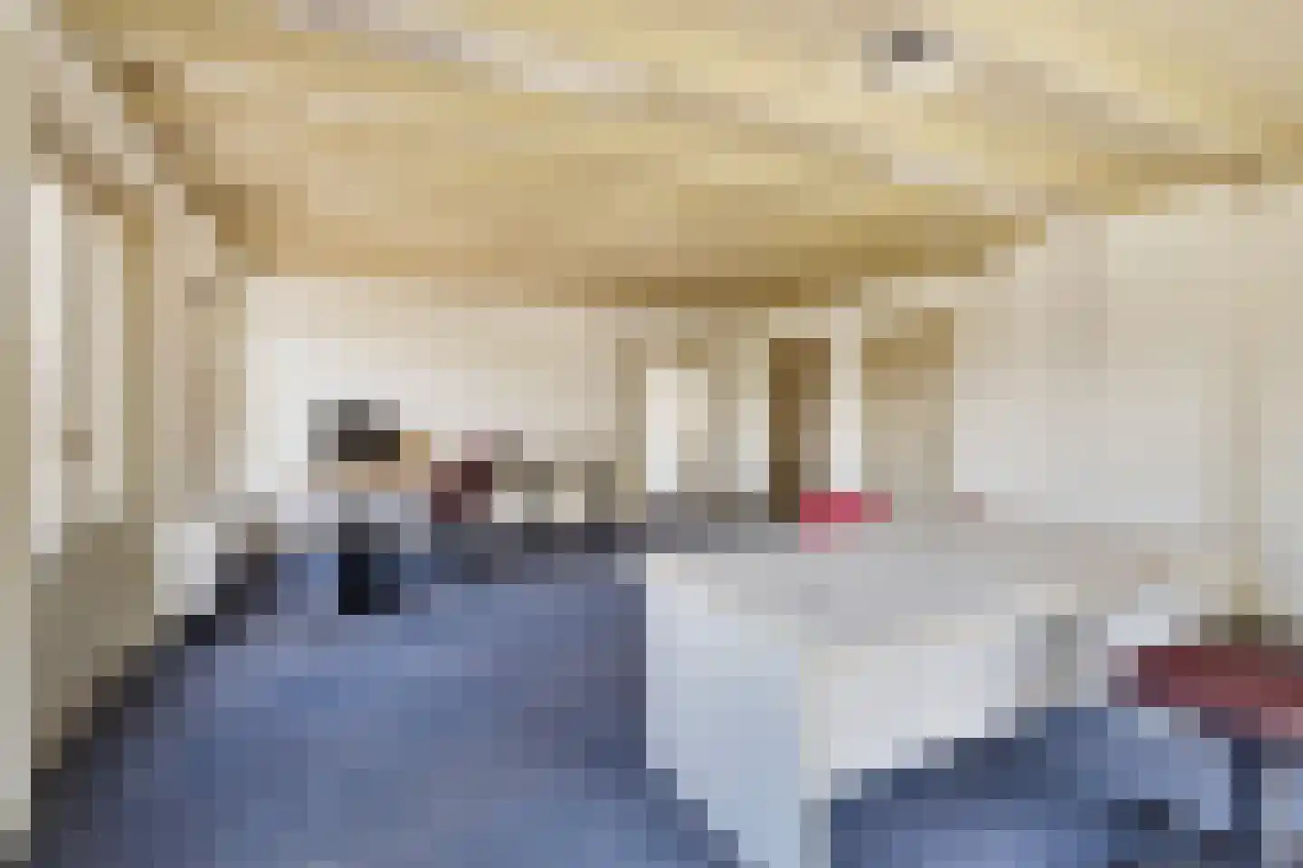 Dorpsstraat 10 Steenderen thumbnail 42