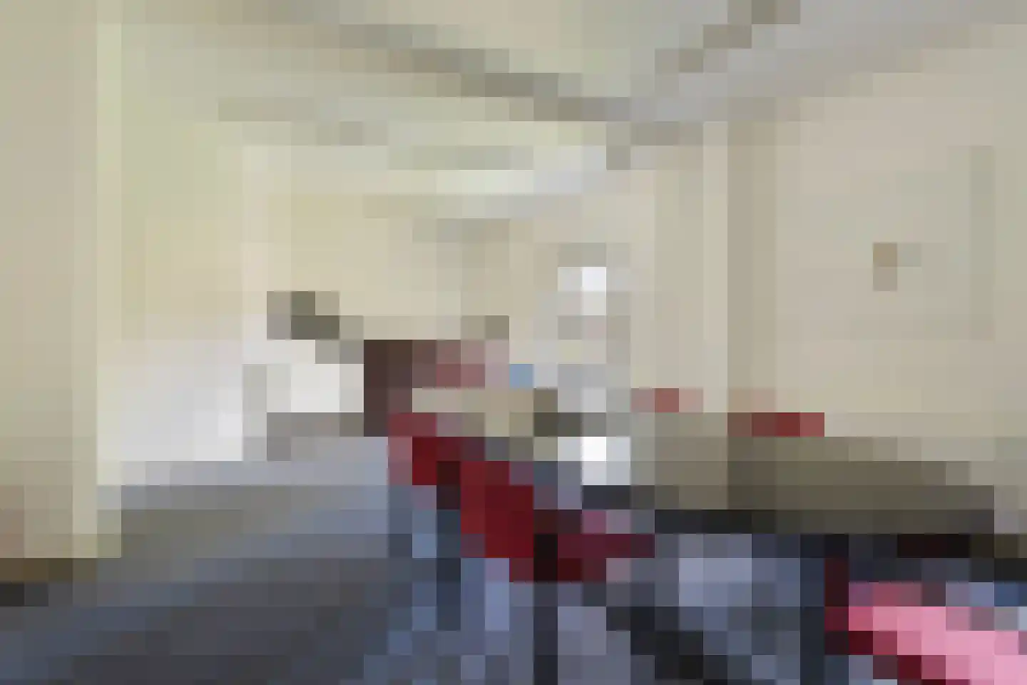Dorpsstraat 10 Steenderen thumbnail 45