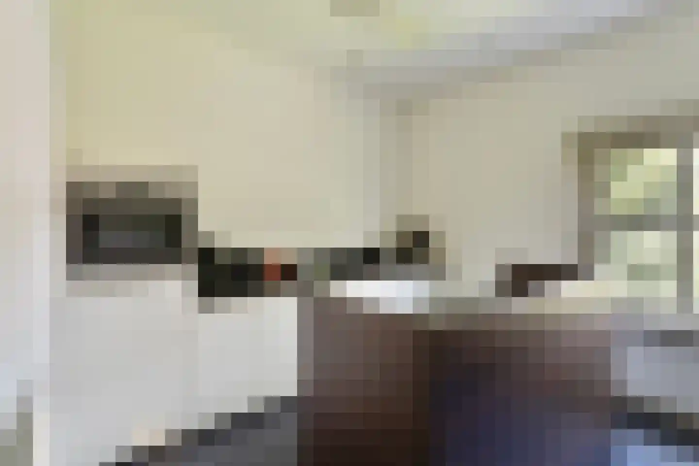 Dorpsstraat 10 Steenderen thumbnail 47