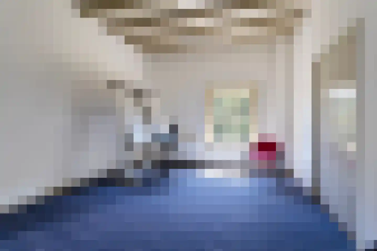 Dorpsstraat 10 Steenderen thumbnail 48