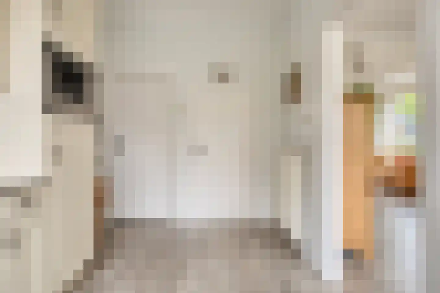 Dorpsstraat 10 Vledder thumbnail 17