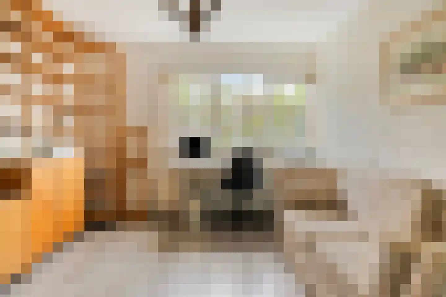 Dorpsstraat 10 Vledder thumbnail 25