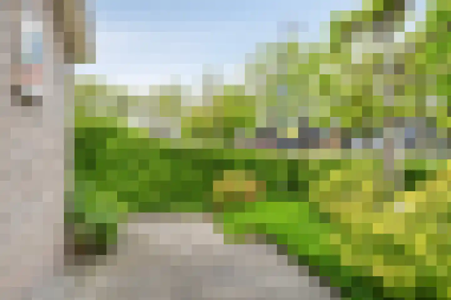Dorpsstraat 10 Vledder thumbnail 51