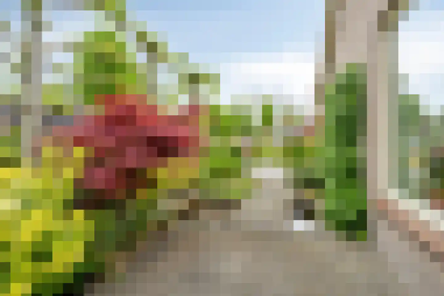 Dorpsstraat 10 Vledder thumbnail 52
