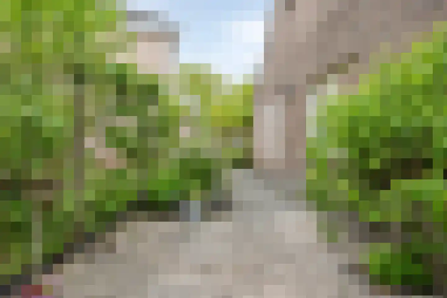 Dorpsstraat 10 Vledder thumbnail 57