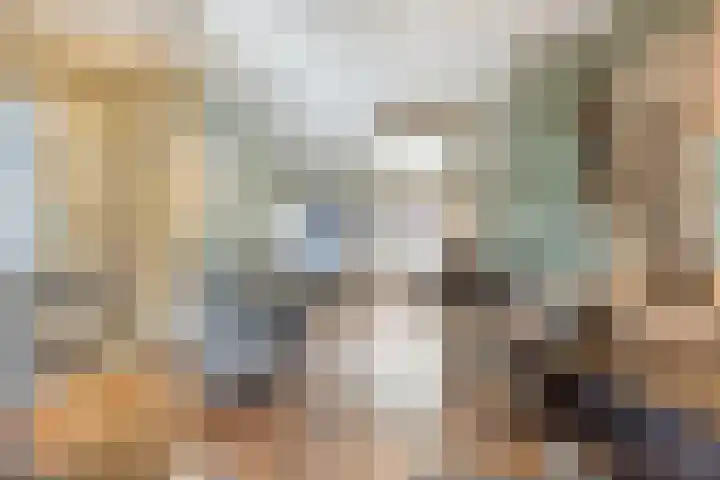 Dorpsstraat 10 Zoutkamp thumbnail 10
