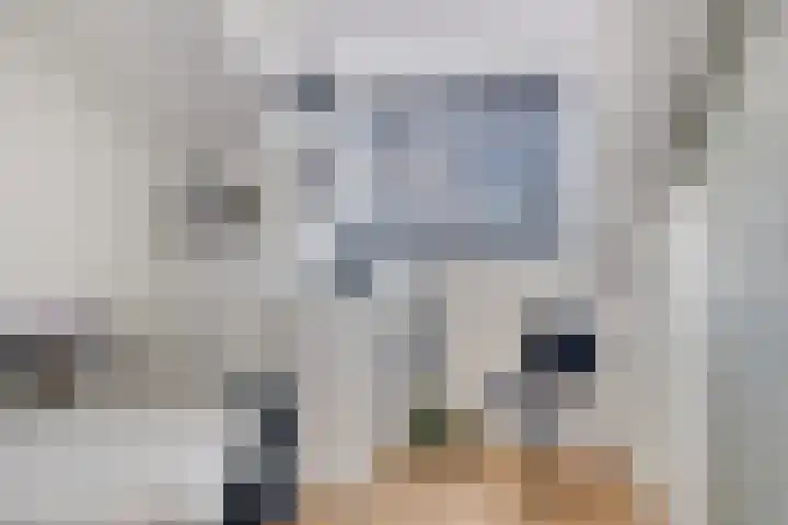 Dorpsstraat 10 Zoutkamp thumbnail 21