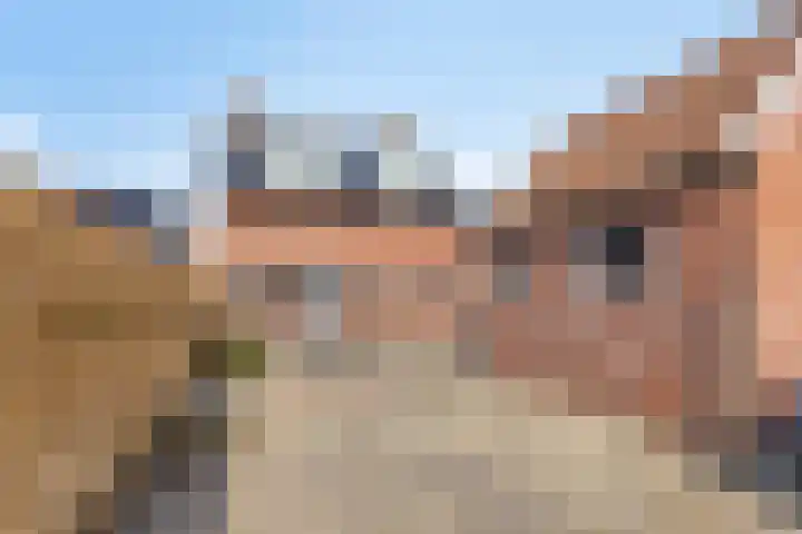 Dorpsstraat 10 Zoutkamp thumbnail 26