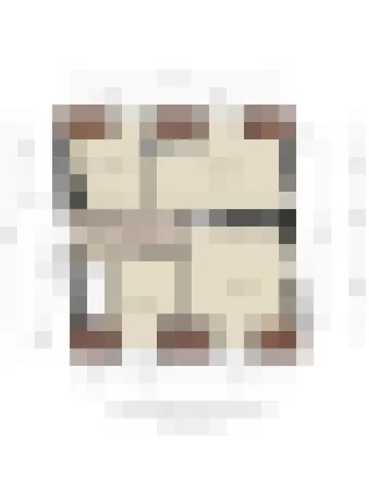 Dorpsstraat 10 Zoutkamp thumbnail 30