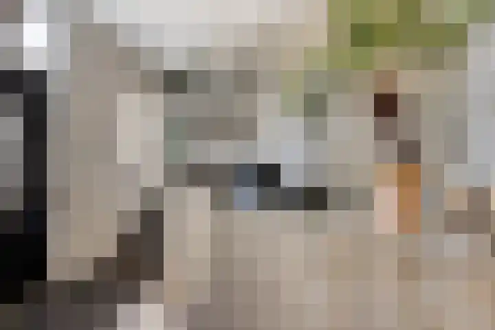 Dorpsstraat 10 Zoutkamp thumbnail 4