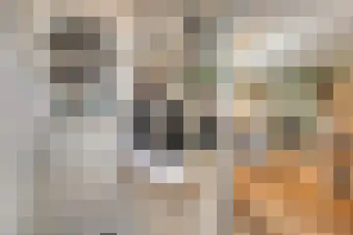 Dorpsstraat 10 Zoutkamp thumbnail 5