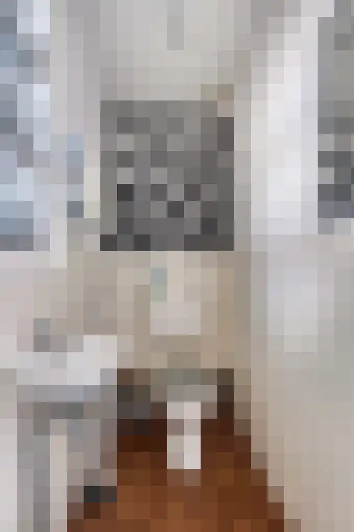 Dorpsstraat 10 Zoutkamp thumbnail 6