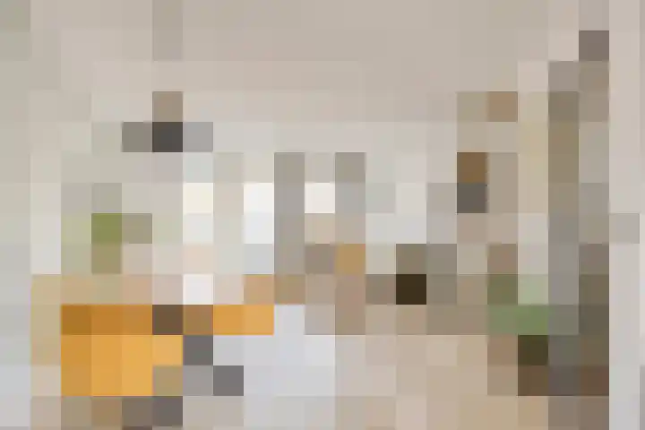 Dorpsstraat 100 Noordwijkerhout thumbnail 11