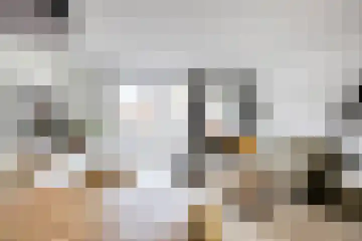 Dorpsstraat 100 Noordwijkerhout thumbnail 13