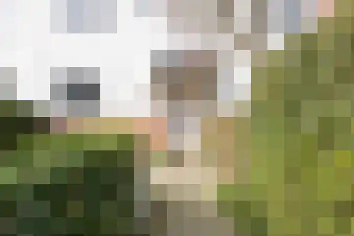 Dorpsstraat 100 Noordwijkerhout thumbnail 5