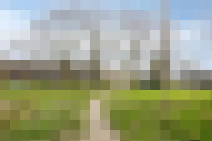 Dorpsstraat 100 Noordwijkerhout thumbnail 53
