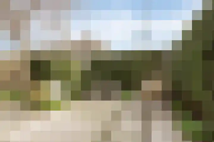 Dorpsstraat 100 Noordwijkerhout thumbnail 6