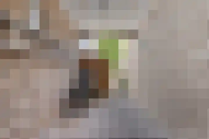 Dorpsstraat 100 Wemeldinge thumbnail 20