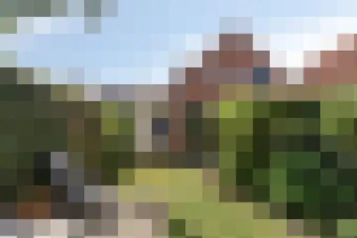 Dorpsstraat 100 Wemeldinge thumbnail 22