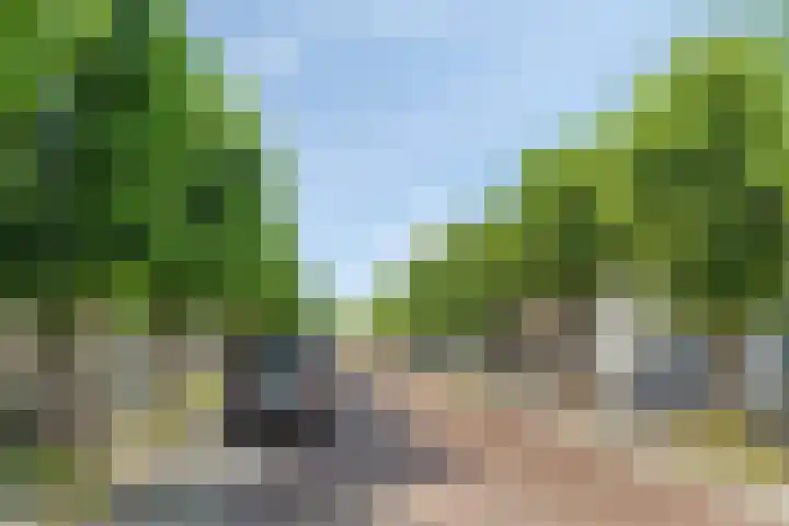 Dorpsstraat 100 Wemeldinge thumbnail 24