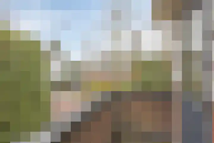 Dorpsstraat 101 Rosmalen thumbnail 41