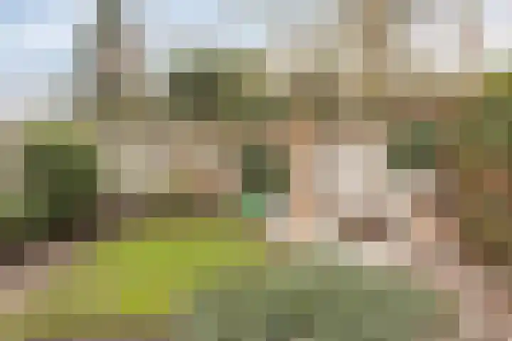 Dorpsstraat 101 Rosmalen thumbnail 61