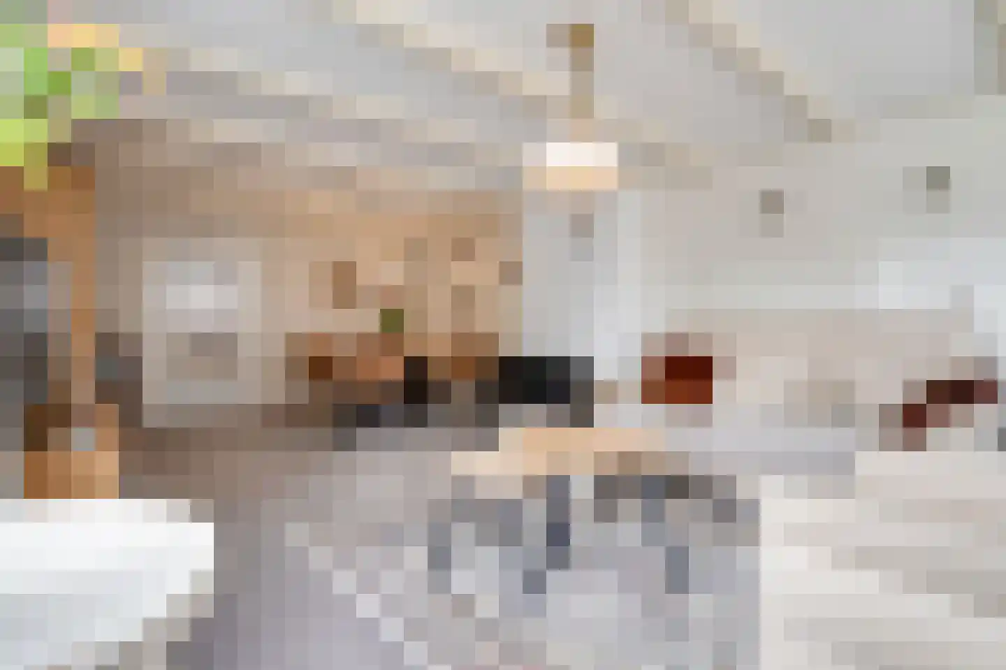 Dorpsstraat 1011 Oudkarspel thumbnail 7